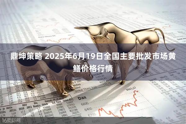 鼎坤策略 2025年6月19日全国主要批发市场黄鳝价格行情