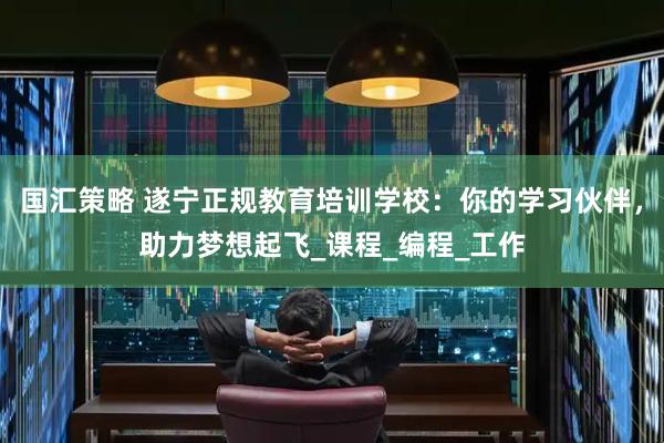 国汇策略 遂宁正规教育培训学校：你的学习伙伴，助力梦想起飞_课程_编程_工作