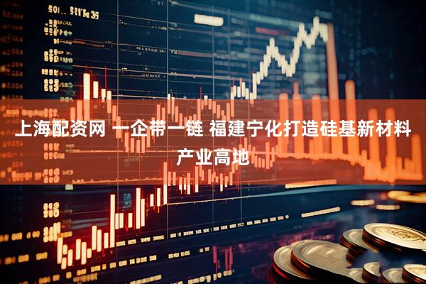 上海配资网 一企带一链 福建宁化打造硅基新材料产业高地