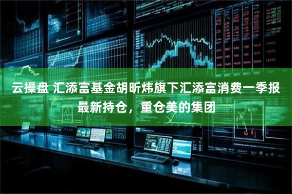 云操盘 汇添富基金胡昕炜旗下汇添富消费一季报最新持仓，重仓美的集团